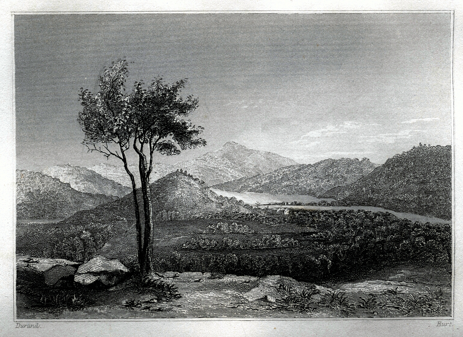 a drawing from a ridge with a tree on it and in the distance there is a lake, river and mountain